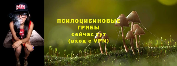 Альфа ПВП Коряжма