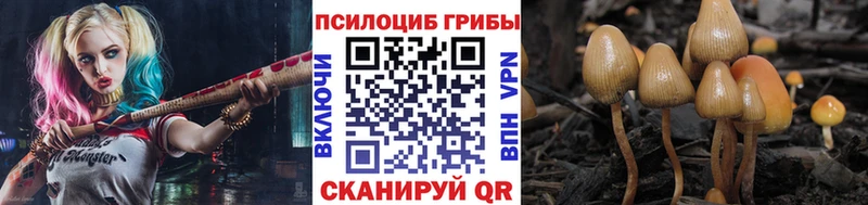 Псилоцибиновые грибы мицелий Малая Вишера